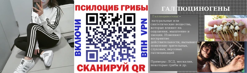 цены наркотик  Лабинск  Псилоцибиновые грибы ЛСД 
